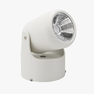 Spot LED directionnel en saillie Directélis