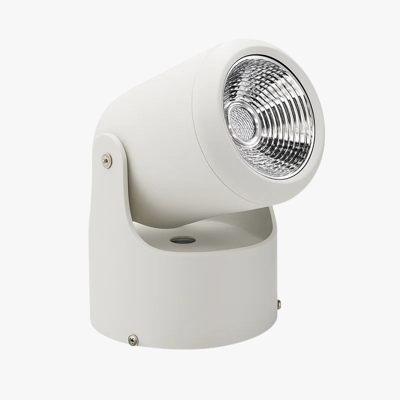 Spot LED directionnel en saillie Directélis